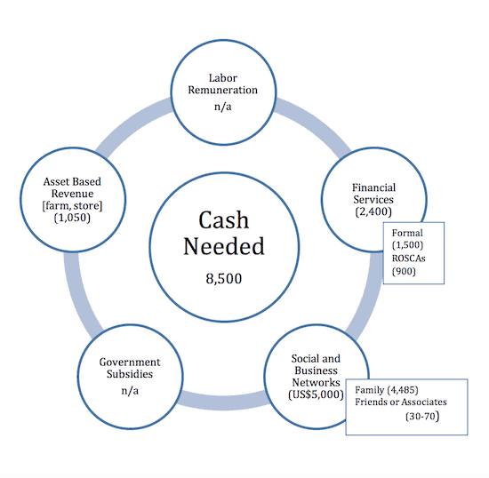 Note: Asset-based revenue is differentiated from labor remuneration where the latter encompasses wages, salaries or casual labour.
