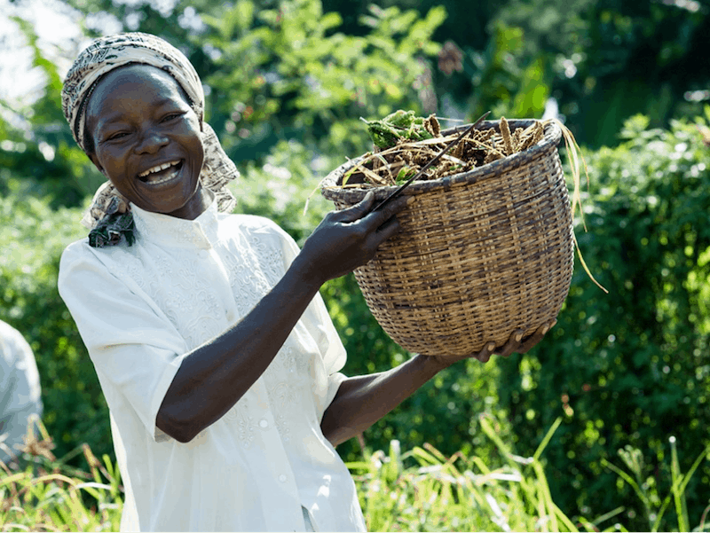 One Acre Fund (OAF), an organization that supplies smallholder farmers in East Africa with asset-based financing and agriculture training services to reduce hunger and poverty, defines success as a function of three key metrics: scale (number of people reached), impact and impact efficiency. OAF combines these three metrics to calculate the “total social good,” a key indicator used by OAF for scaling decisions.
