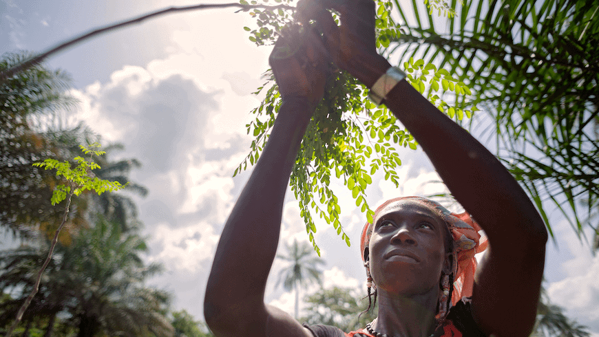 Rethinking the Role of Business in Conservation: Why Small Local Enterprises are Key to Biodiversity and Climate Action