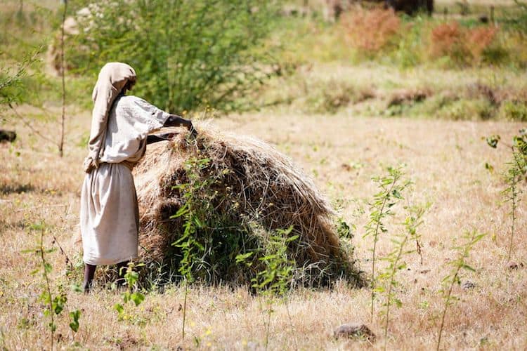 A New Era of Farming: Unlocking Innovations for Smallholders Via Non-Traditional Finance on NextBillion.net